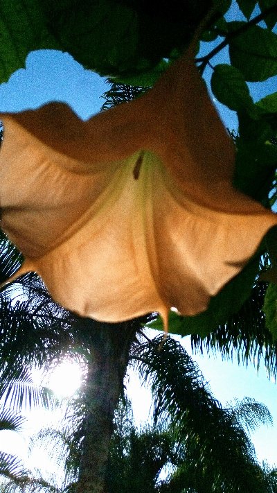 PHOTO_20190705_172513