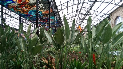 PHOTO_20190703_144838