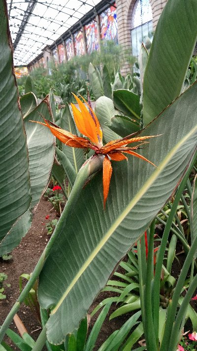 PHOTO_20190703_144759