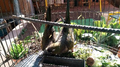 PHOTO_20190705_172954