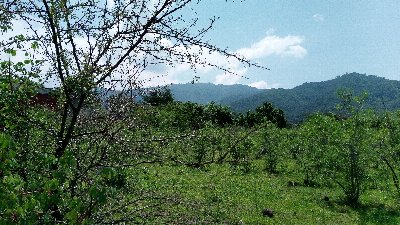 PHOTO_20190706_120105